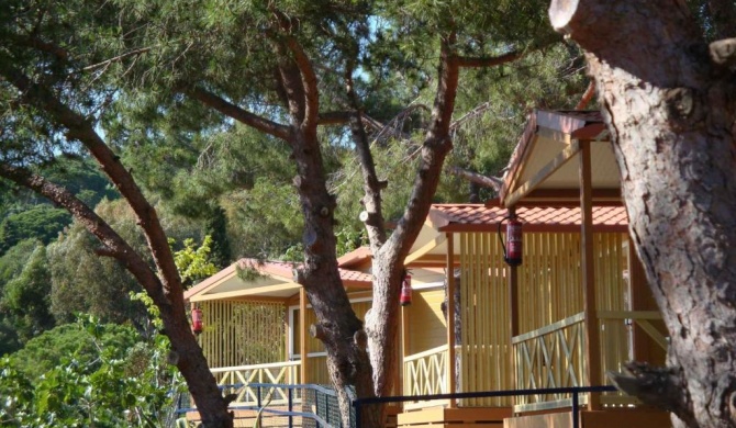 Holiday home in Calella de la Costa 3641