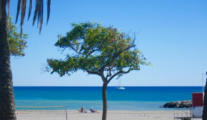 Appt 5 pax terrasse vue Plage. LOCAMAR. Cuchi